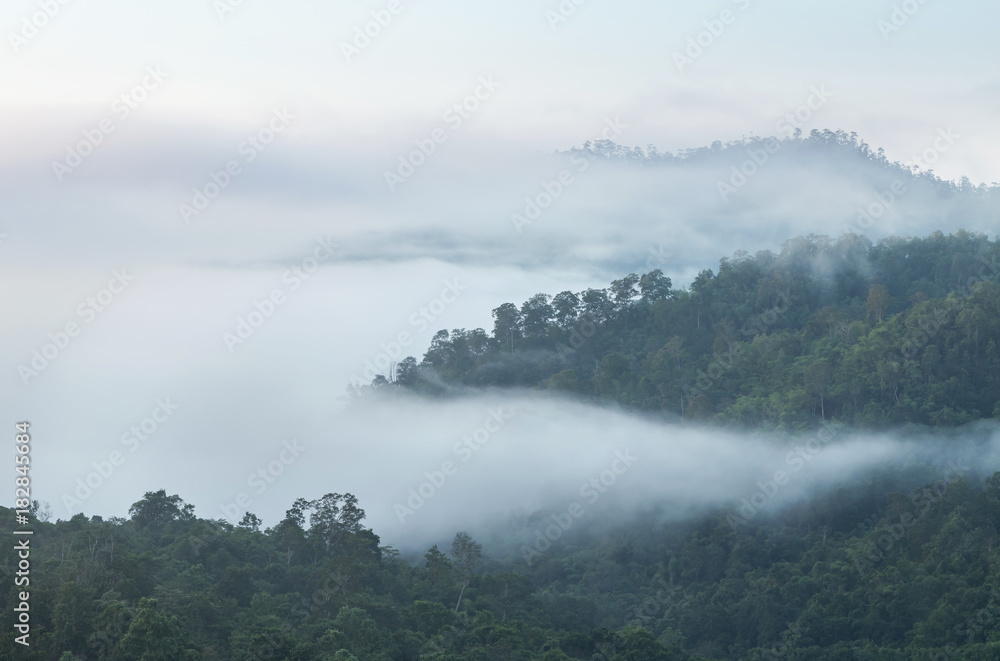   High angle view over tropical rainforest mountains with white fog in early morning 