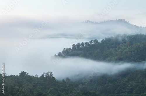  High angle view over tropical rainforest mountains with white fog in early morning 