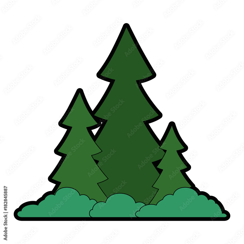 pine forest scene icon vector illustration design pine forest scene icon vector illustration design