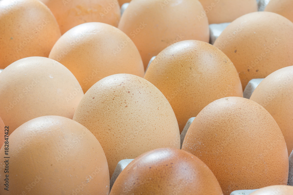 Chicken Egg fresh from farm. Chicken Egg fresh from farm.