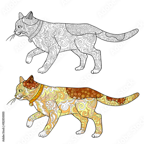 Cat doodle cartoon animal for coloring book. Vector illustration cat coloring with sample isolated on white.