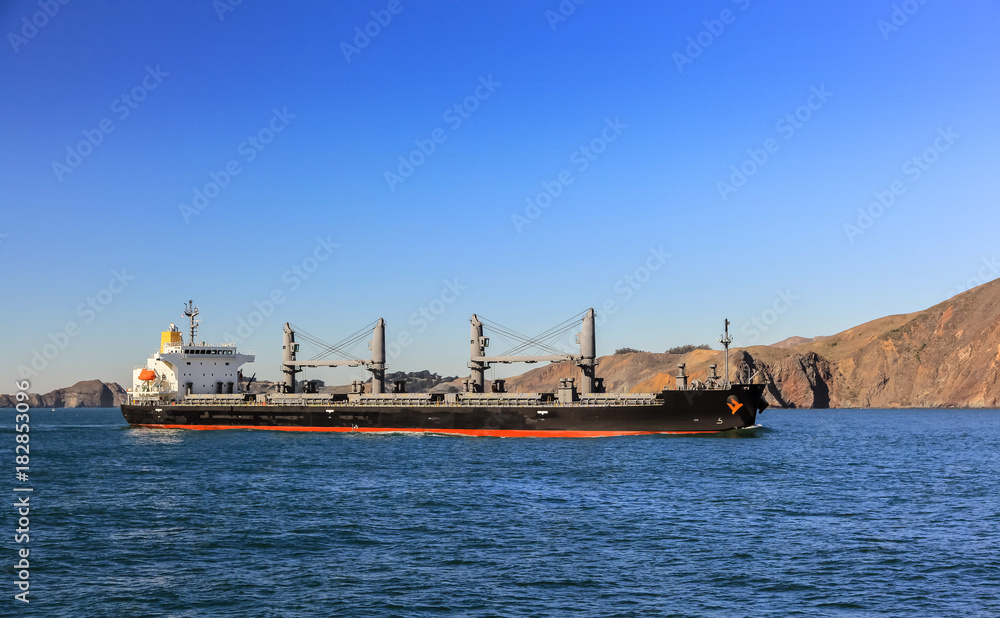 Cargo ship sailing to port on sunny day