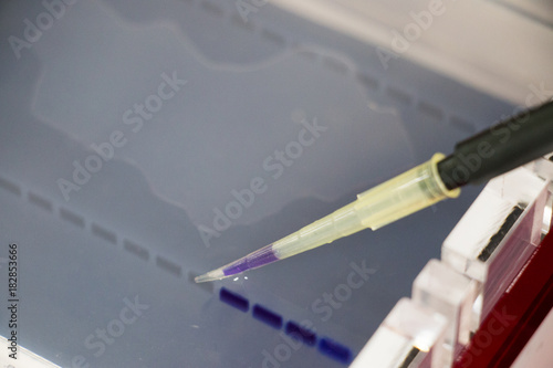 Agarose gel electrophoresis is a method of gel electrophoresis used in biochemistry, molecular biology, genetics, and clinical chemistry to separate a mixed population of macromolecules such as DNA or