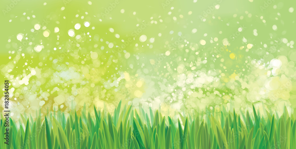Fototapeta premium Vector green grass border, bokeh, nature background.