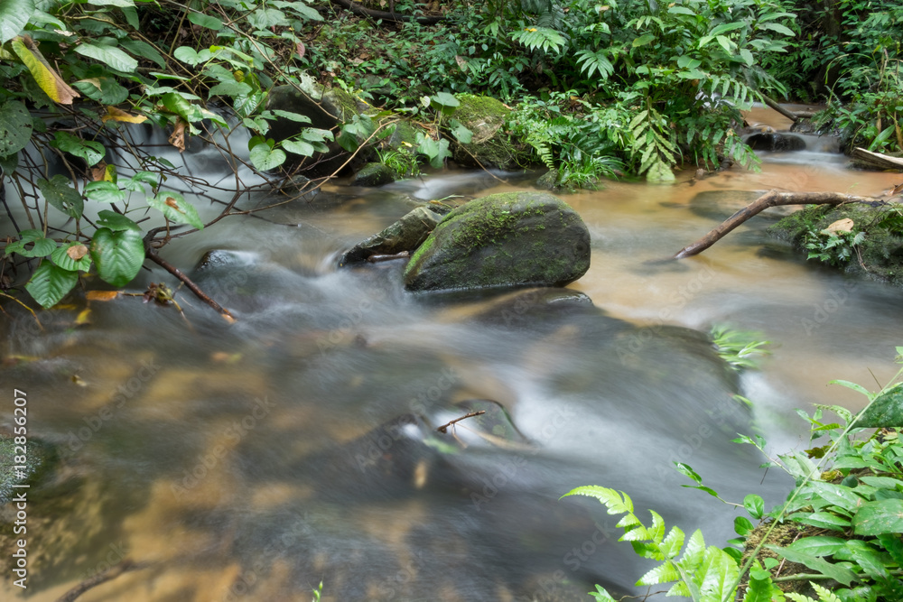 Naklejka premium Rocks and streams at Pha Dok Sieo Nature Trail, Chiangmai, Thailand