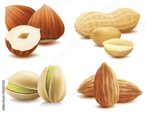 Collection of various nuts on isolated on white