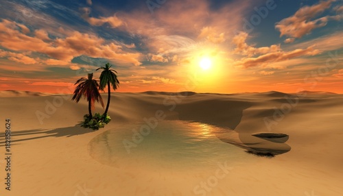 oasis  beautiful sunset in the desert  the sun above the sand and palm trees  