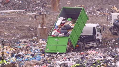 Garbage vehicles at the landfill surrounded by a flock of seagulls