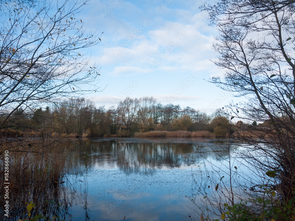 beautiful cold lake scene autumn branches water surface reflections beautiful cold lake scene autumn branches water surface reflections