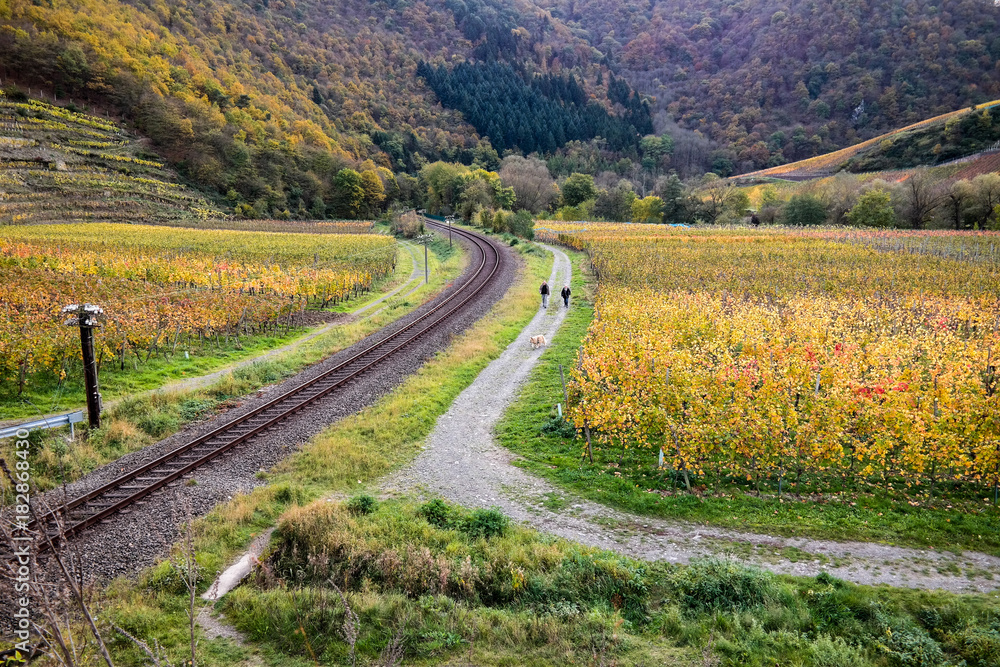 View over the vineyards of Mayschoss in Ahr Valley, Germany View over the vineyards of Mayschoss in Ahr Valley, Germany