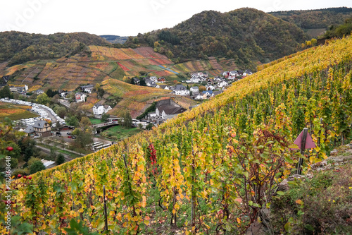 View over the vineyards of Mayschoss in Ahr Valley, Germany photo