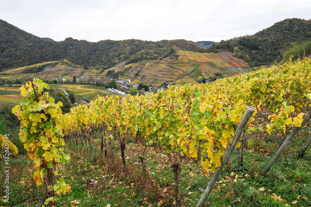 View over the vineyards of Mayschoss in Ahr Valley, Germany