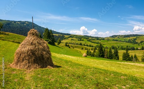Valokuvatapetti haystack on a grassy rural field in mountains