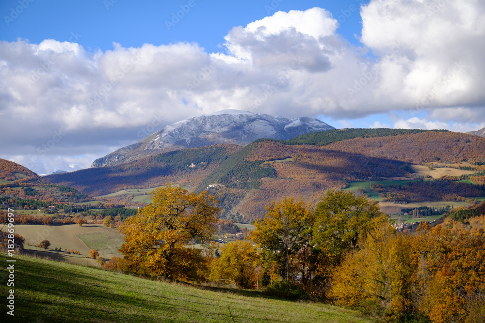 Autumn View Autumn View