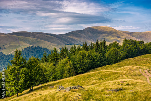 forested hillside of Svydovets mountain ridge. lovely summer landscape with gorgeous sky © Pellinni
