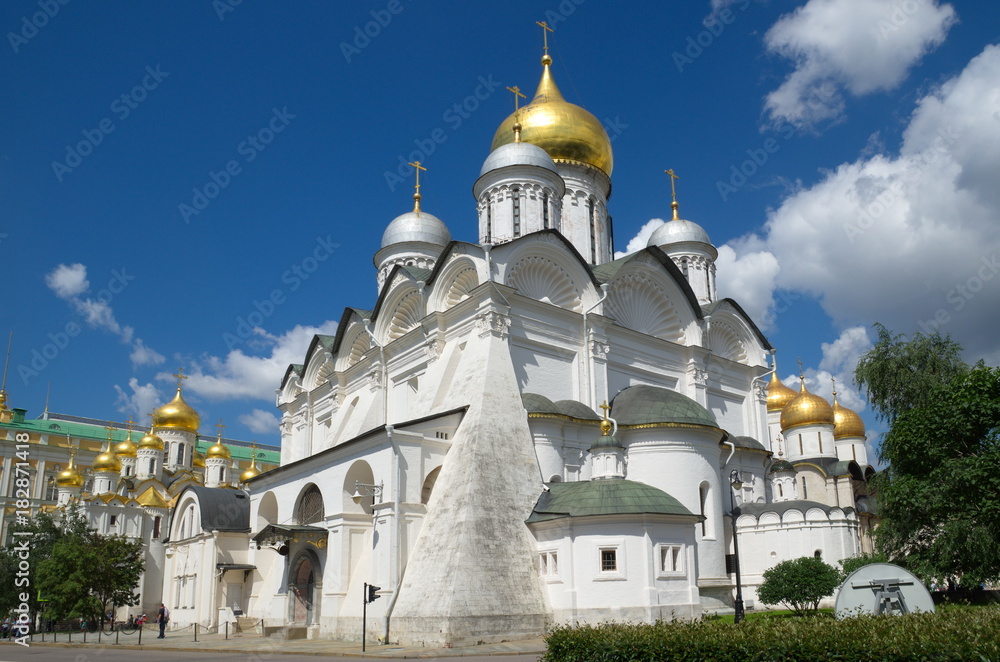 Fototapeta premium Archangel Cathedral in the Moscow Kremlin, Russia