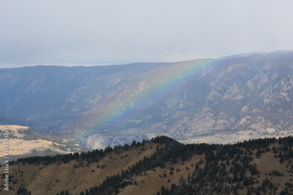 Rocky Mountain rainbow