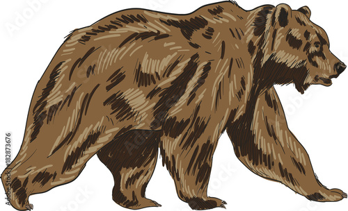 Cartoon animal vector drawing isolated white background