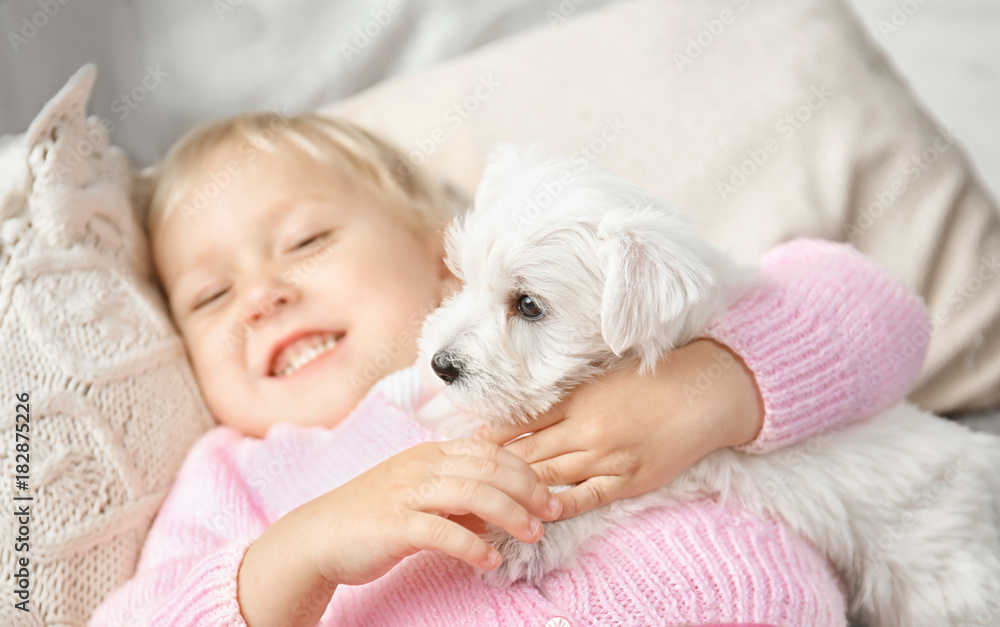 Little cute girl with puppy at home Little cute girl with puppy at home