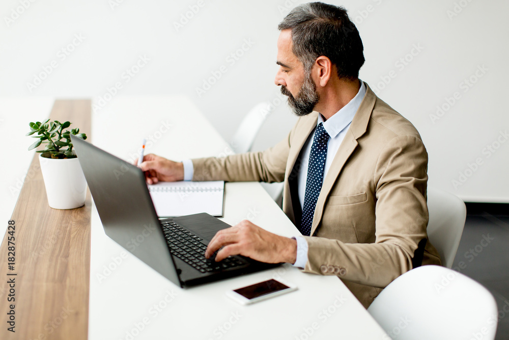 Handsome middle-aged businessman working on laptop in office Handsome middle-aged businessman working on laptop in office