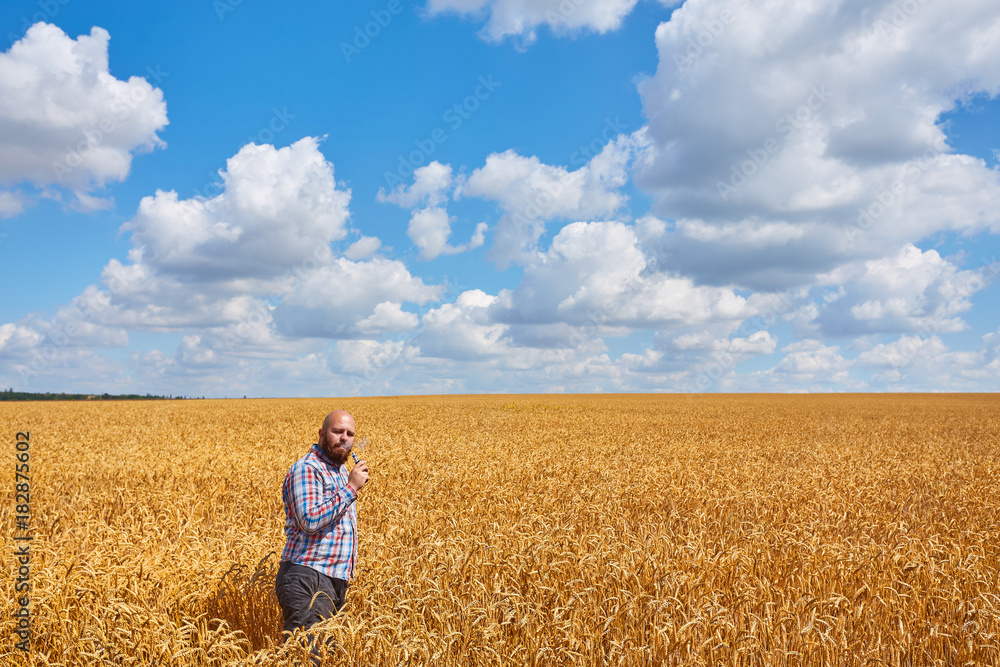 farmer smokes electronic cigarette in a ripe field of wheat with blue sky, great harvest farmer smokes electronic cigarette in a ripe field of wheat with blue sky, great harvest