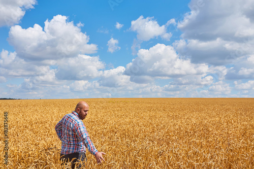 farmer standing in a wheat field, looking at the crop © Ryzhkov Oleksandr