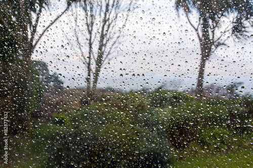 Rain drops on window looking onto garden. photo