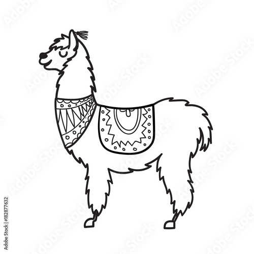 Vector illustration of cute character south America lama with decorations. Isolated outline cartoon baby llama. Hand drawn Peru animal guanaco, alpaca, vicuna. Drawing for print, fabric.