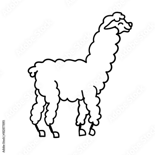 Vector illustration of cute character south America lama with decorations. Isolated outline cartoon baby llama. Hand drawn Peru animal guanaco, alpaca, vicuna. Drawing for print, fabric.