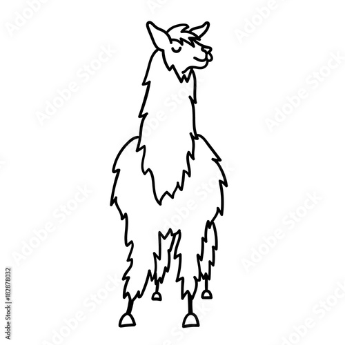 Vector illustration of cute character south America lama with decorations. Isolated outline cartoon baby llama. Hand drawn Peru animal guanaco, alpaca, vicuna. Drawing for print, fabric.