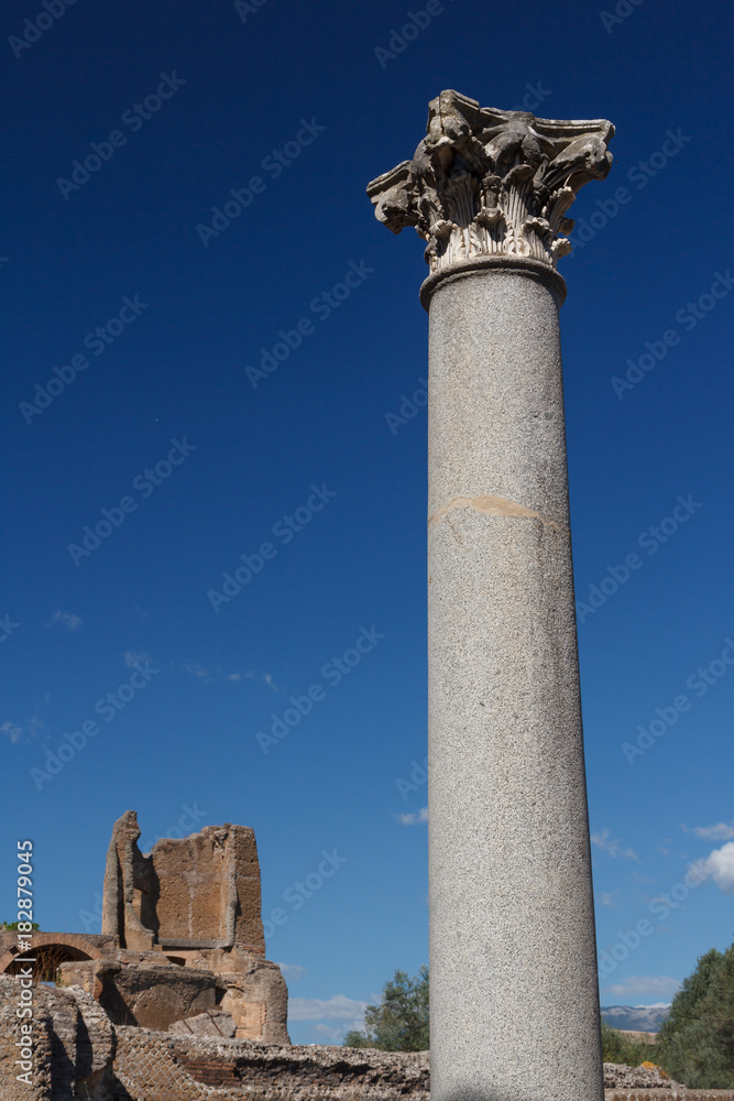 Ruins of the ancient complex of Hadrian Villa, Tivoli, Italy Ruins of the ancient complex of Hadrian Villa, Tivoli, Italy