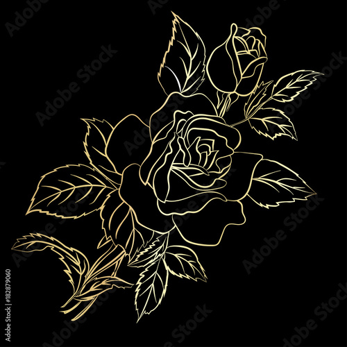 Golden Rose sketch