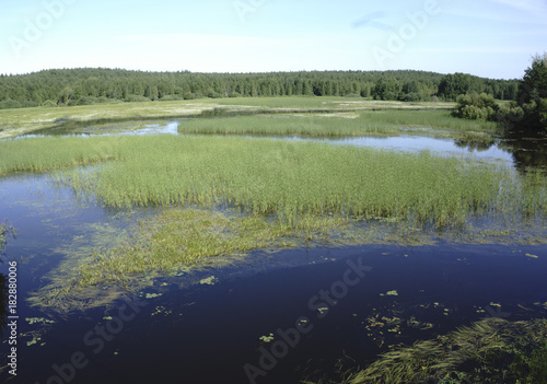 grassy river in Russia