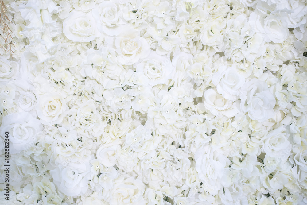 White wedding flower background and decoration White wedding flower background and decoration
