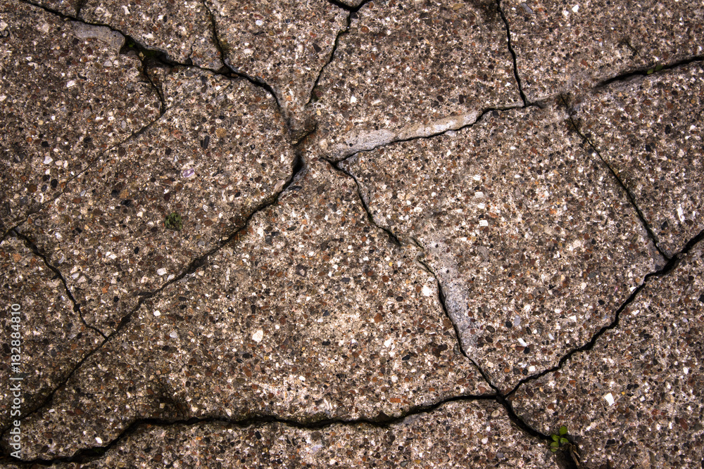 Obraz premium PATTERN