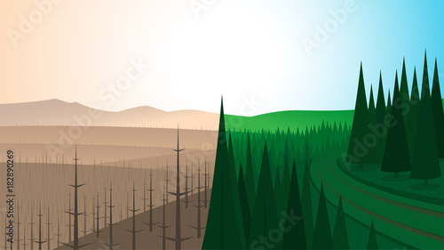 Forest Landscape Before and After Fire