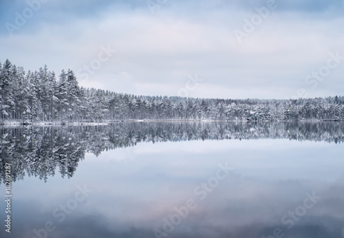 Scenic landscape with forest and lake at winter evening in Finland © Jani Riekkinen