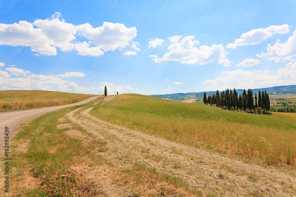 Fototapeta premium Tuscany hills landscape, Italy