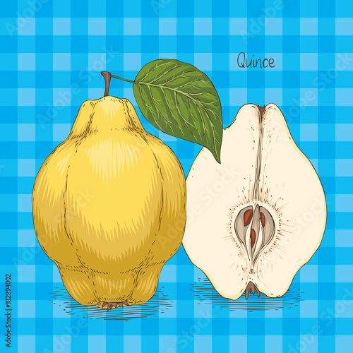 Ripe Quince. Whole, Cross Section and Green Leaf