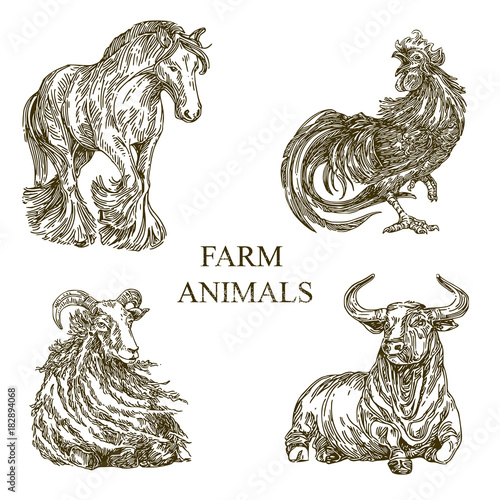 Set of farm animals. Sketch. Horse, rooster, sheep, bull. Engrave style. Vector illustration.