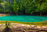 beautiful emerald pool is a popular place in Krabi for visiting tourists in Thailand