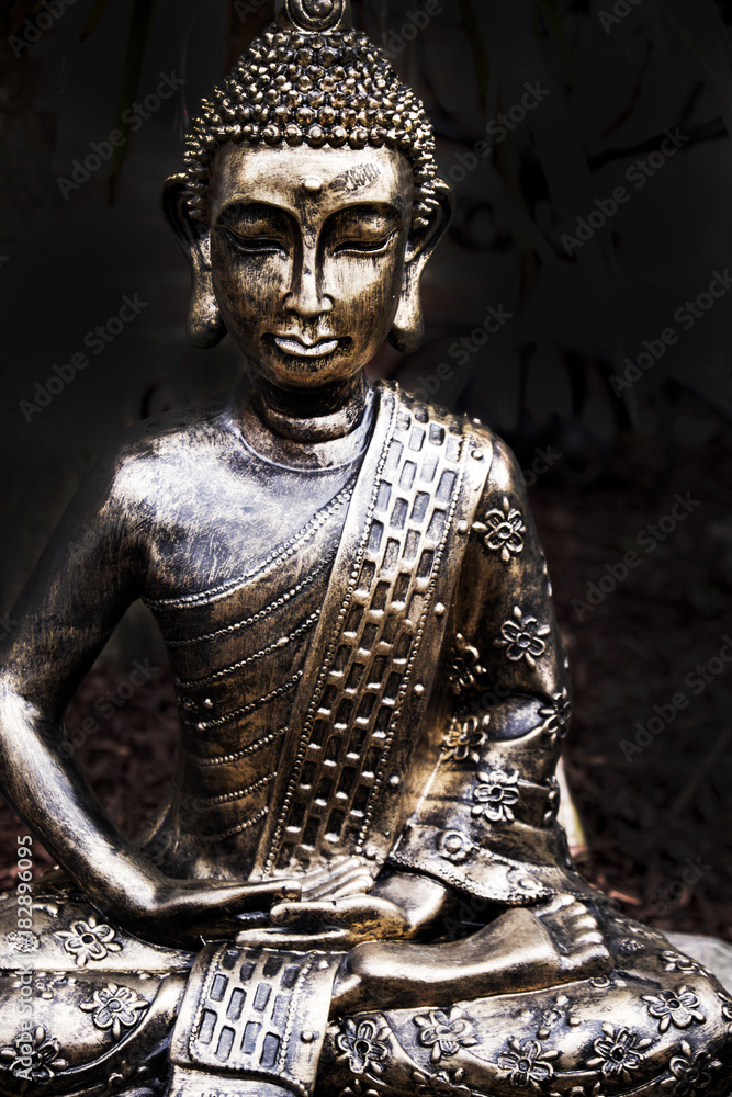 gold/silver budda statue with black background