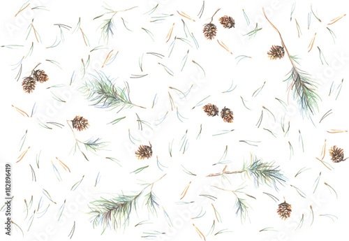 Sprigs of pine with a scattering of needles in gentle tones