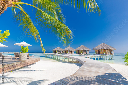 Luxury hotel or resort on a tropical beach with deck chairs and loungers. Luxury spa and well being background