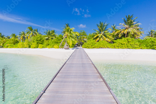 Maldives paradise beach. Perfect tropical island. Beautiful palm trees and tropical beach. Moody blue sky and blue lagoon. Luxury travel summer holiday background concept. © icemanphotos