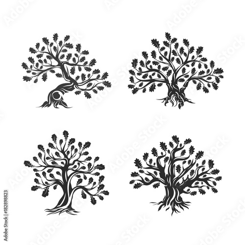 Huge and sacred oak tree silhouette logo isolated on white background. Modern vector national tradition green plant icon sign design set.
Premium quality organic logotype flat emblem illustration.