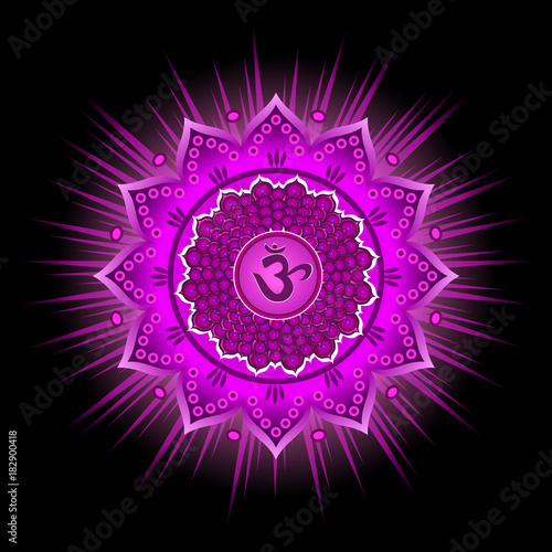 Circle mandala pattern. Sahasrara chakra vector illustration.
