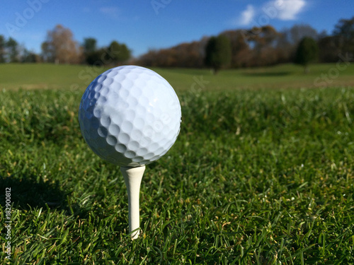 Canvas Print Generic white golf ball sit on tee over green grass on a golf course waiting to be hit by player club down fairway