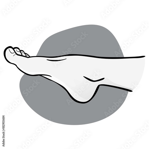 Illustration person, human foot, black and white, side view. Ideal for catalogs, informational and institutional guides