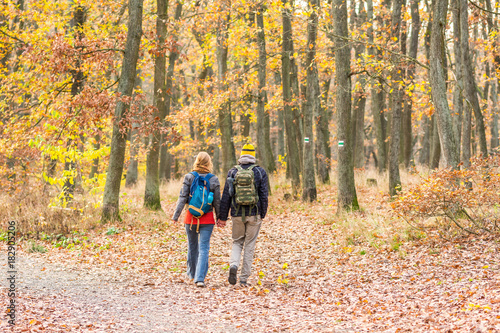 Couple in autumn love, girl and boy in golden forest